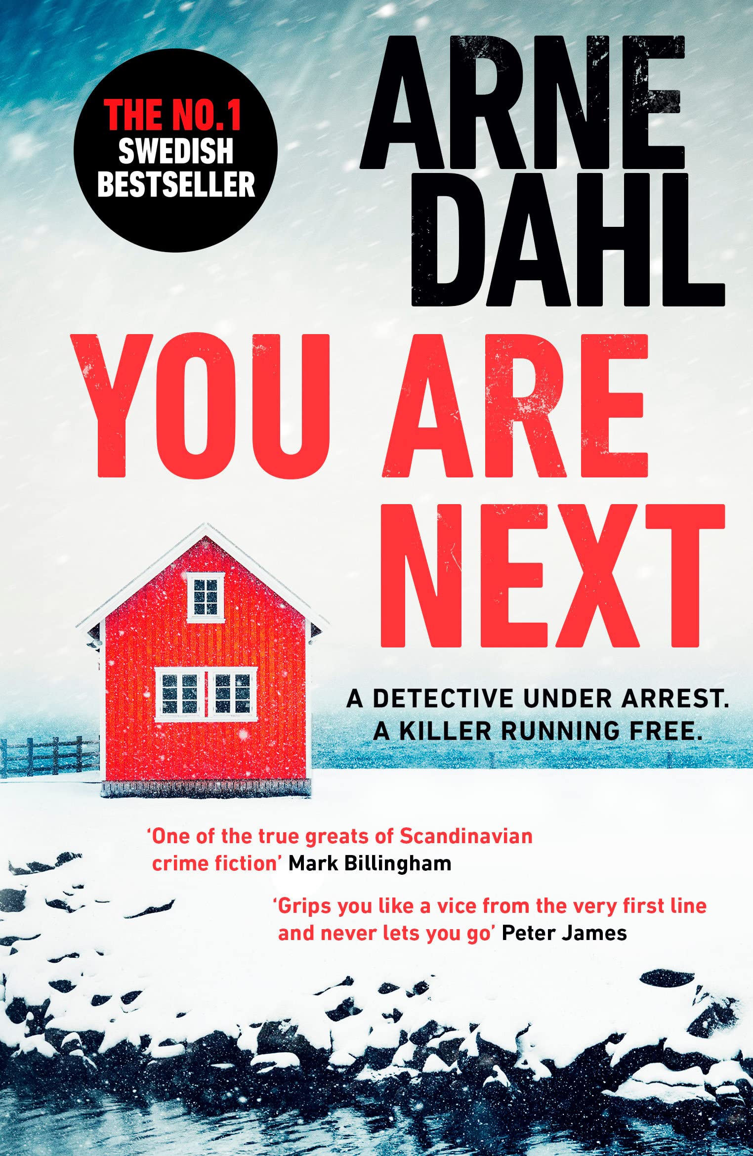 You Are Next | Arne Dahl