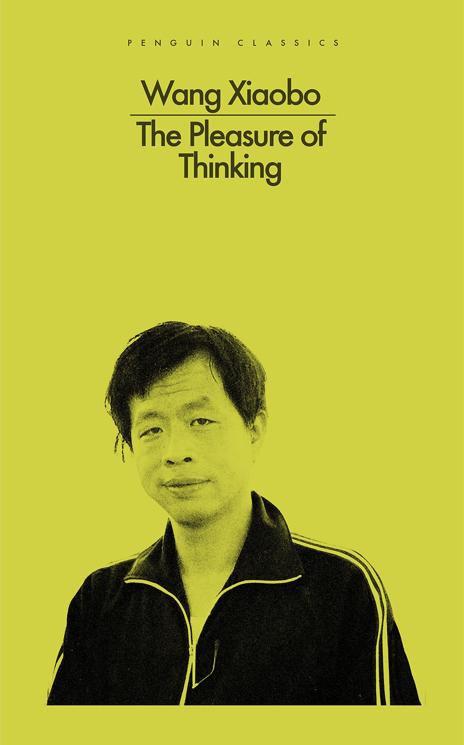 The Pleasure of Thinking | Wang Xiaobo