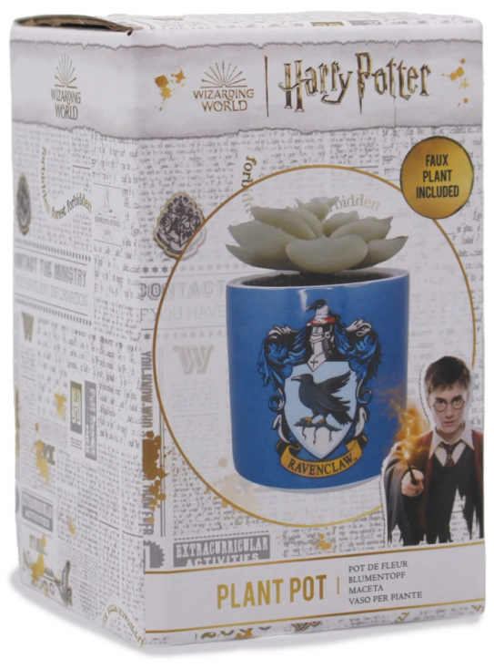 Planta decorativa - Harry Potter - Ravenclaw | Half Moon Bay - 2 | YEO