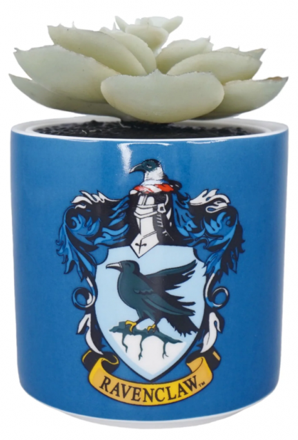 Planta decorativa - Harry Potter - Ravenclaw | Half Moon Bay