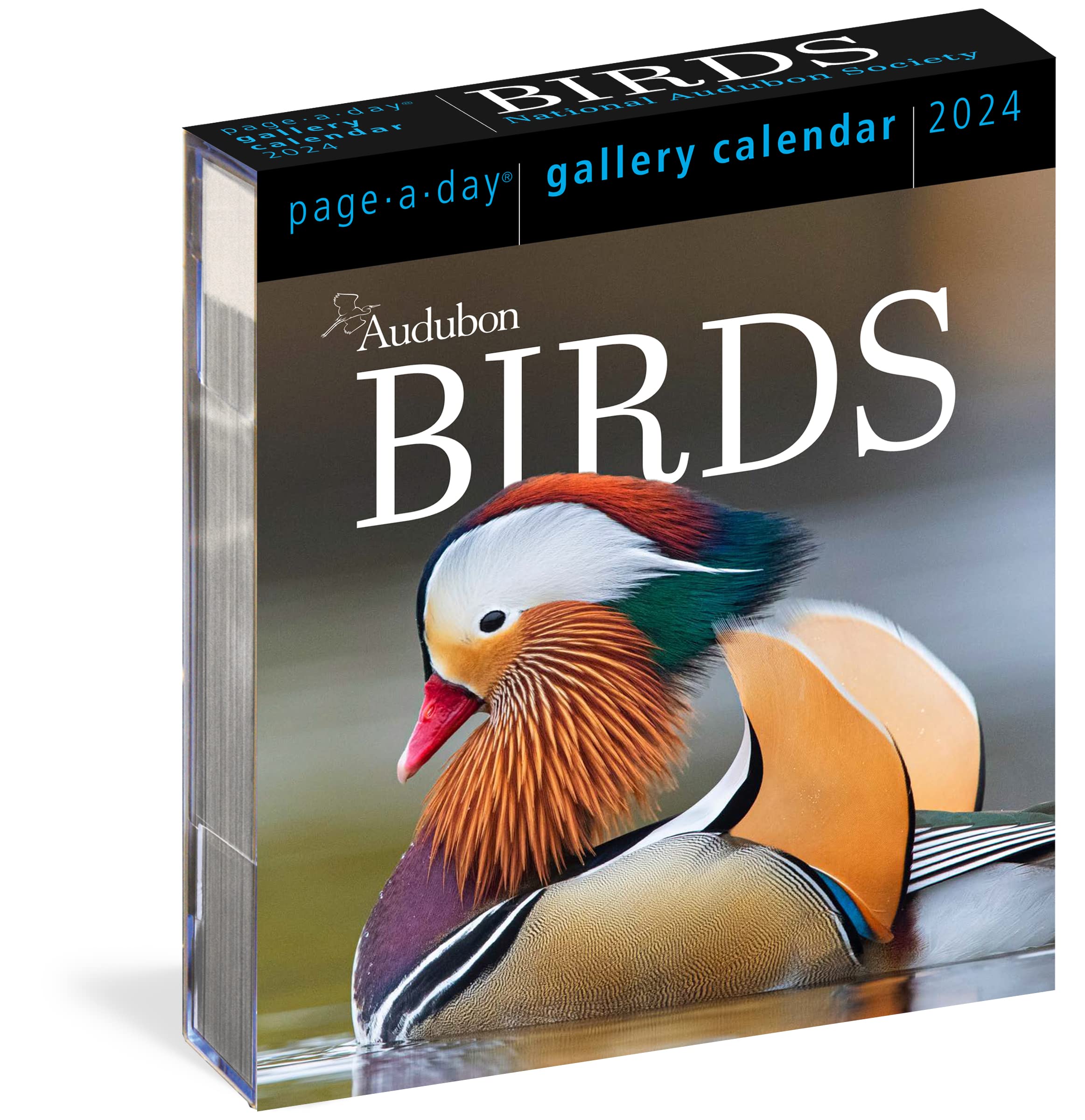 Calendar - Audubon Birds - 2024 | Workman Publishing - 4 | YEO