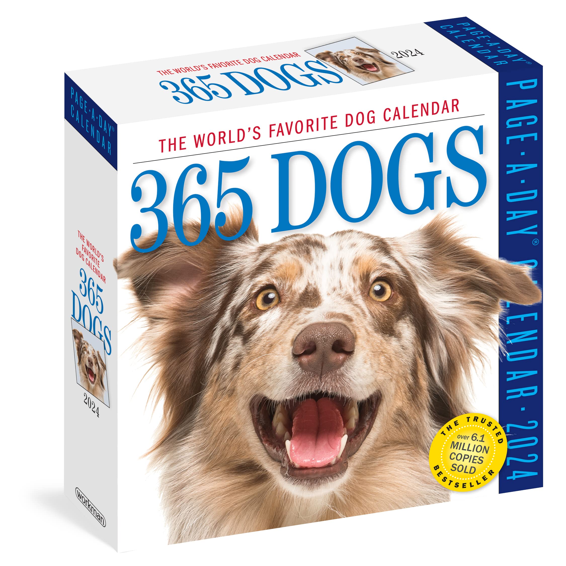 Calendar - 365 Dogs - 2024 | Workman Publishing - 4 | YEO