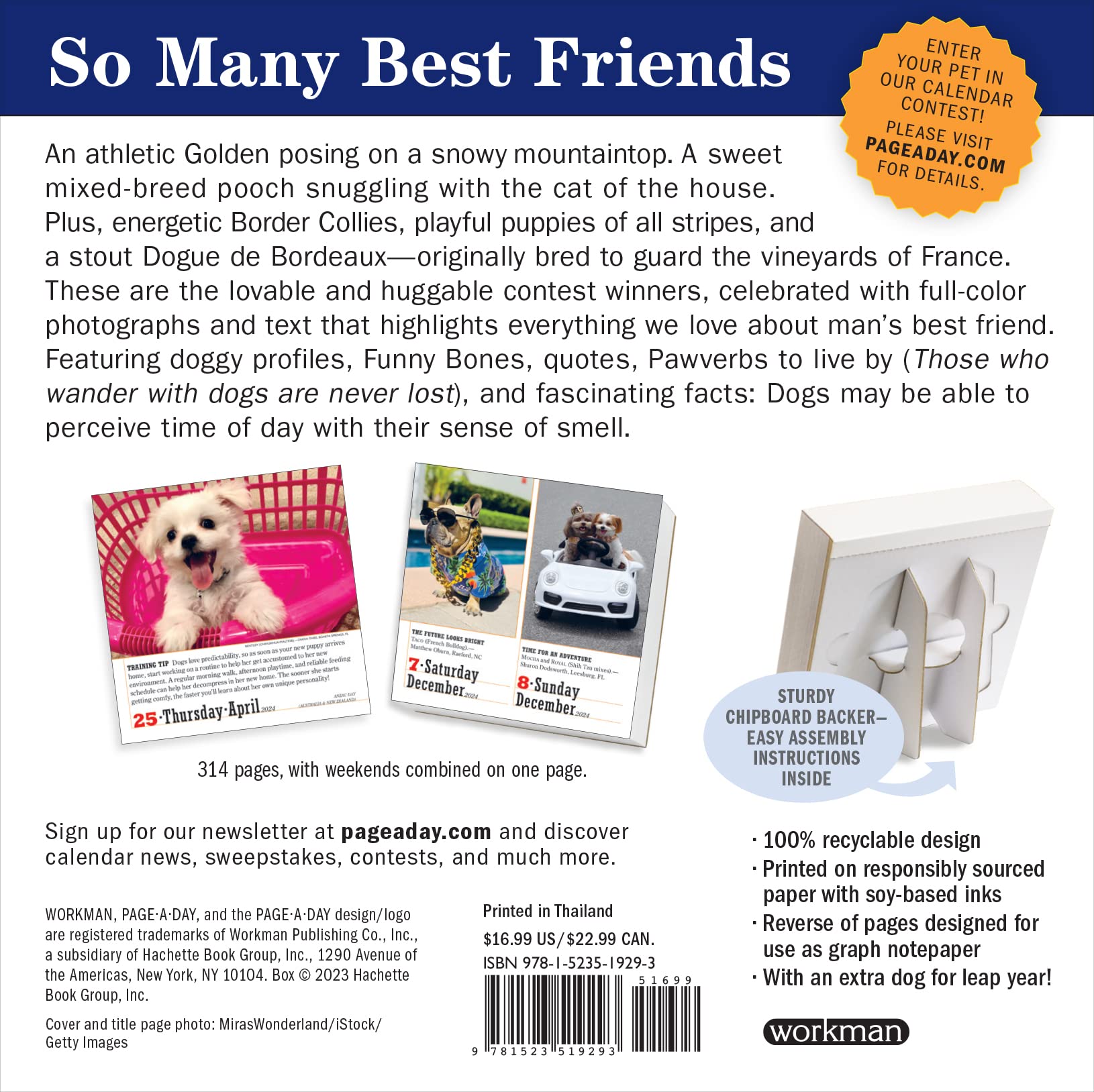 Calendar - 365 Dogs - 2024 | Workman Publishing Company
