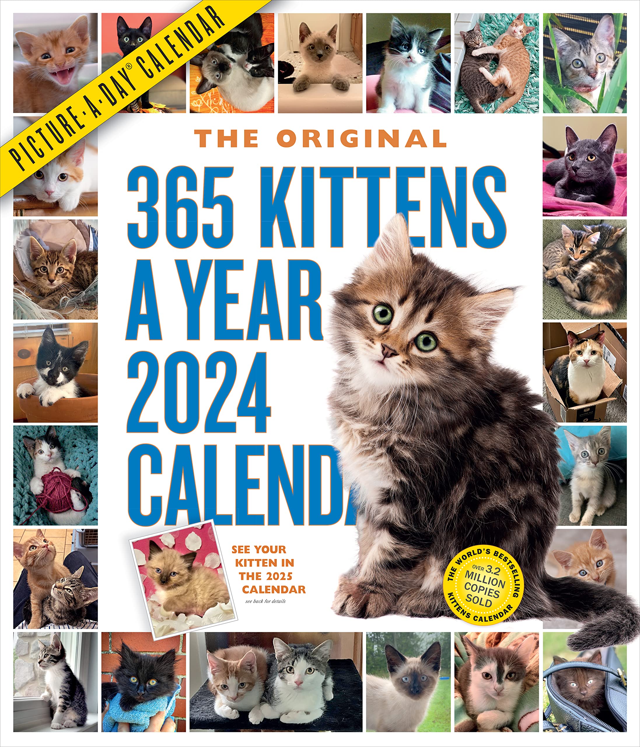 Calendar - 365 Kittens - 2024 | Workman Publishing Company