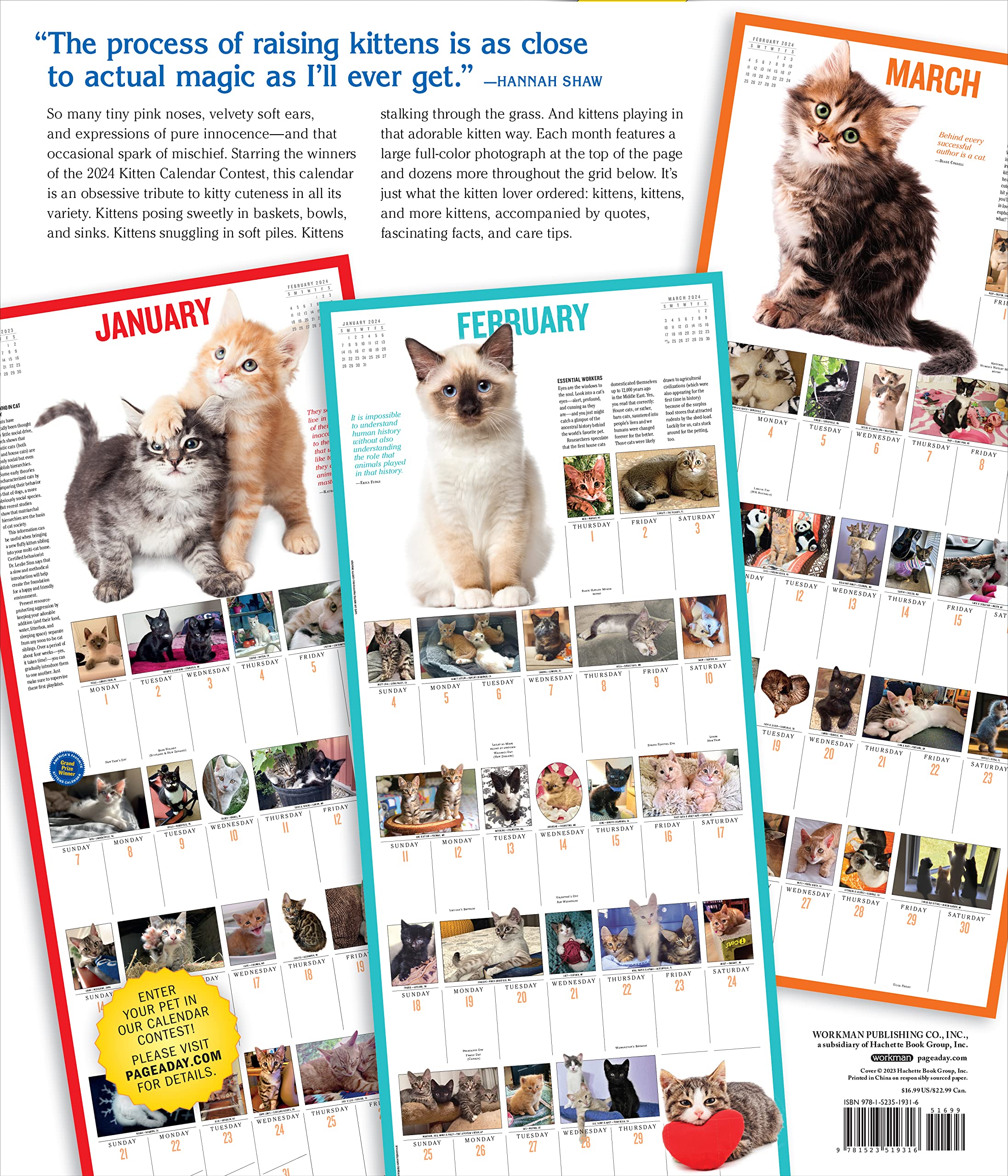 Calendar - 365 Kittens - 2024 | Workman Publishing Company