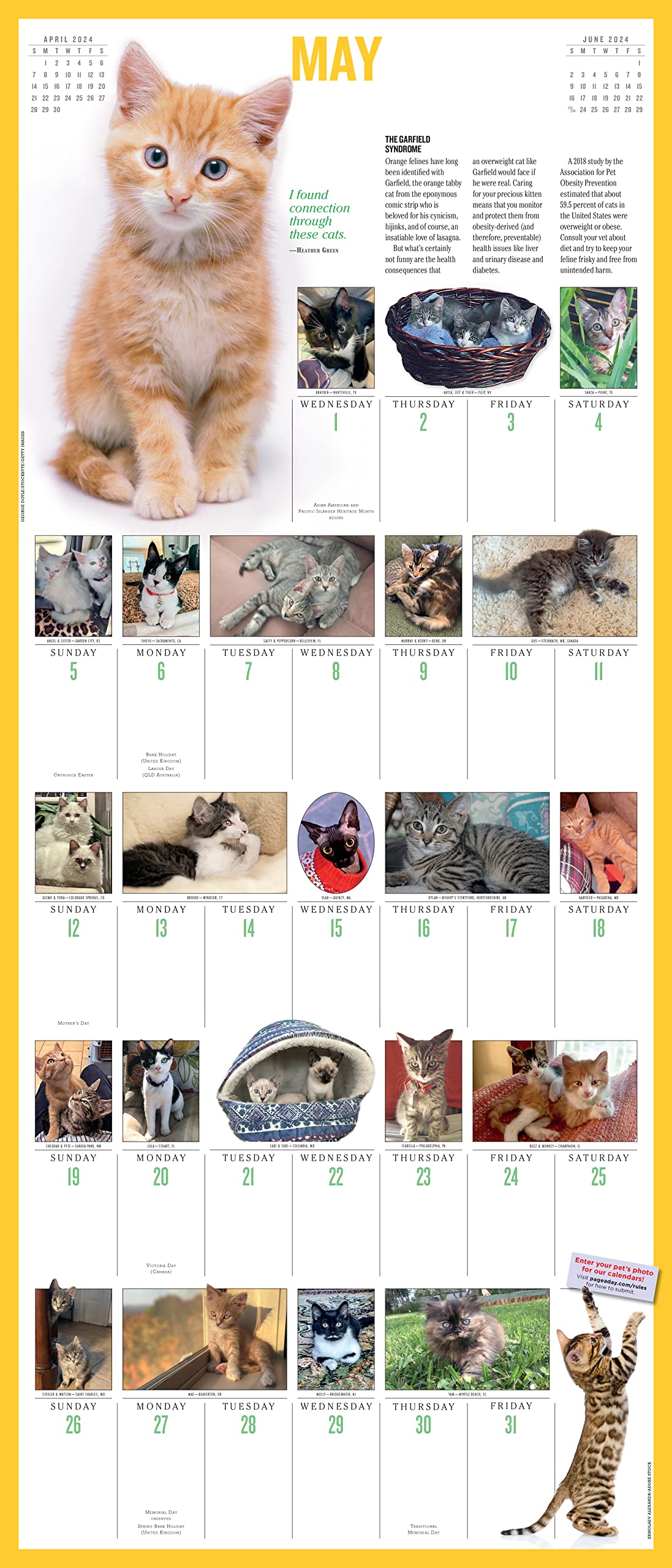 Calendar - 365 Kittens - 2024 | Workman Publishing - 1 | YEO