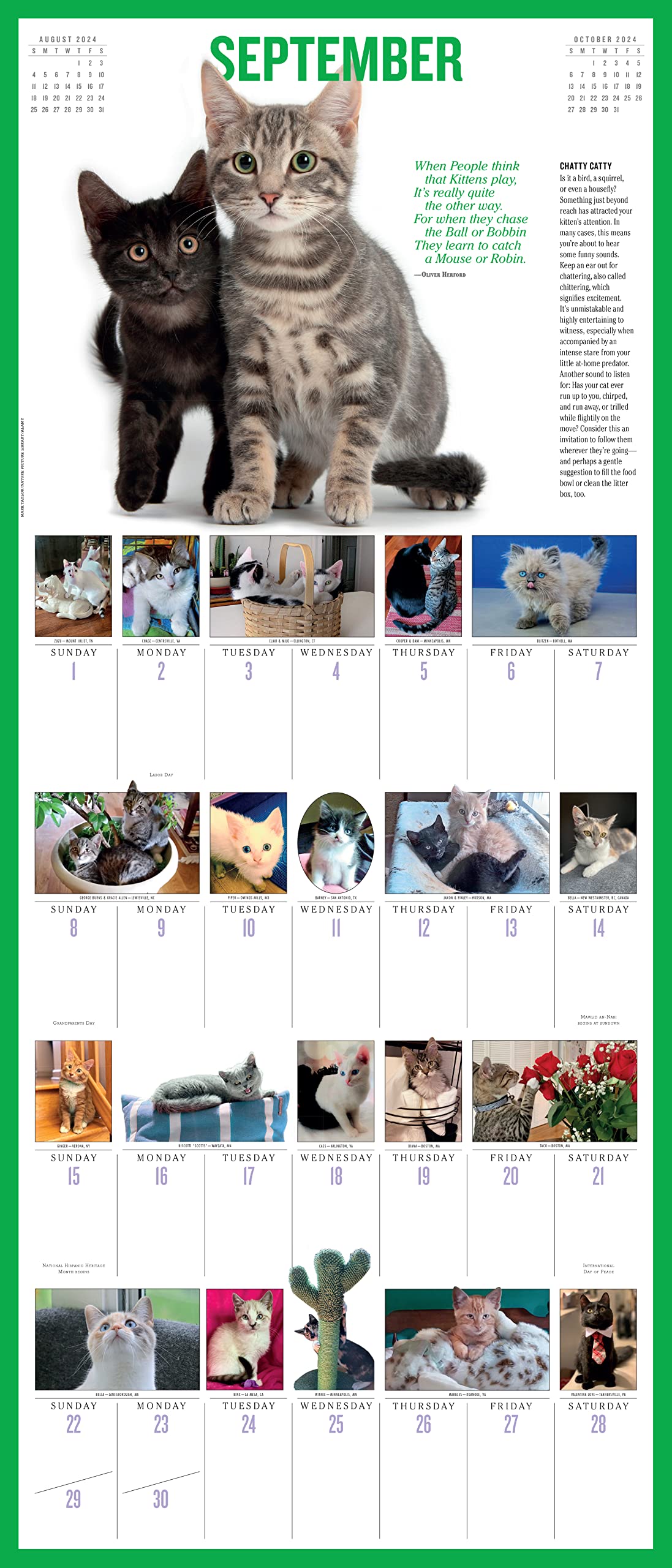 Calendar - 365 Kittens - 2024 | Workman Publishing - 2 | YEO