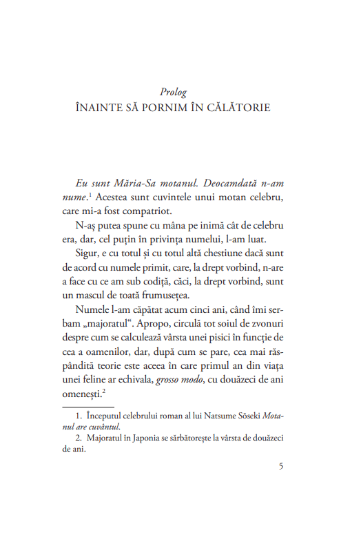 Memoriile unui motan calator | Hiro Arikawa