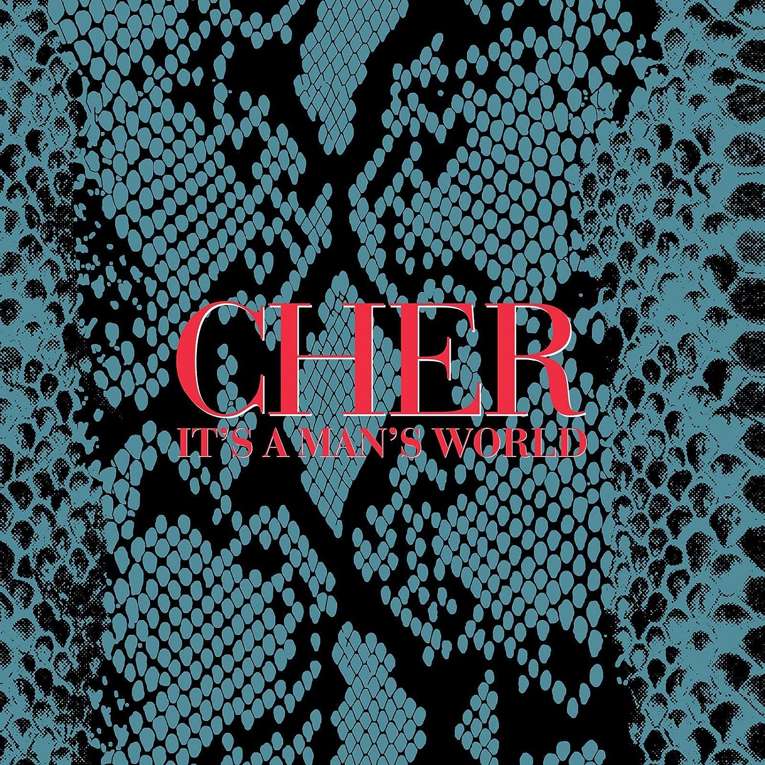 It\'s A Man\'s World (Deluxe Edition) | Cher