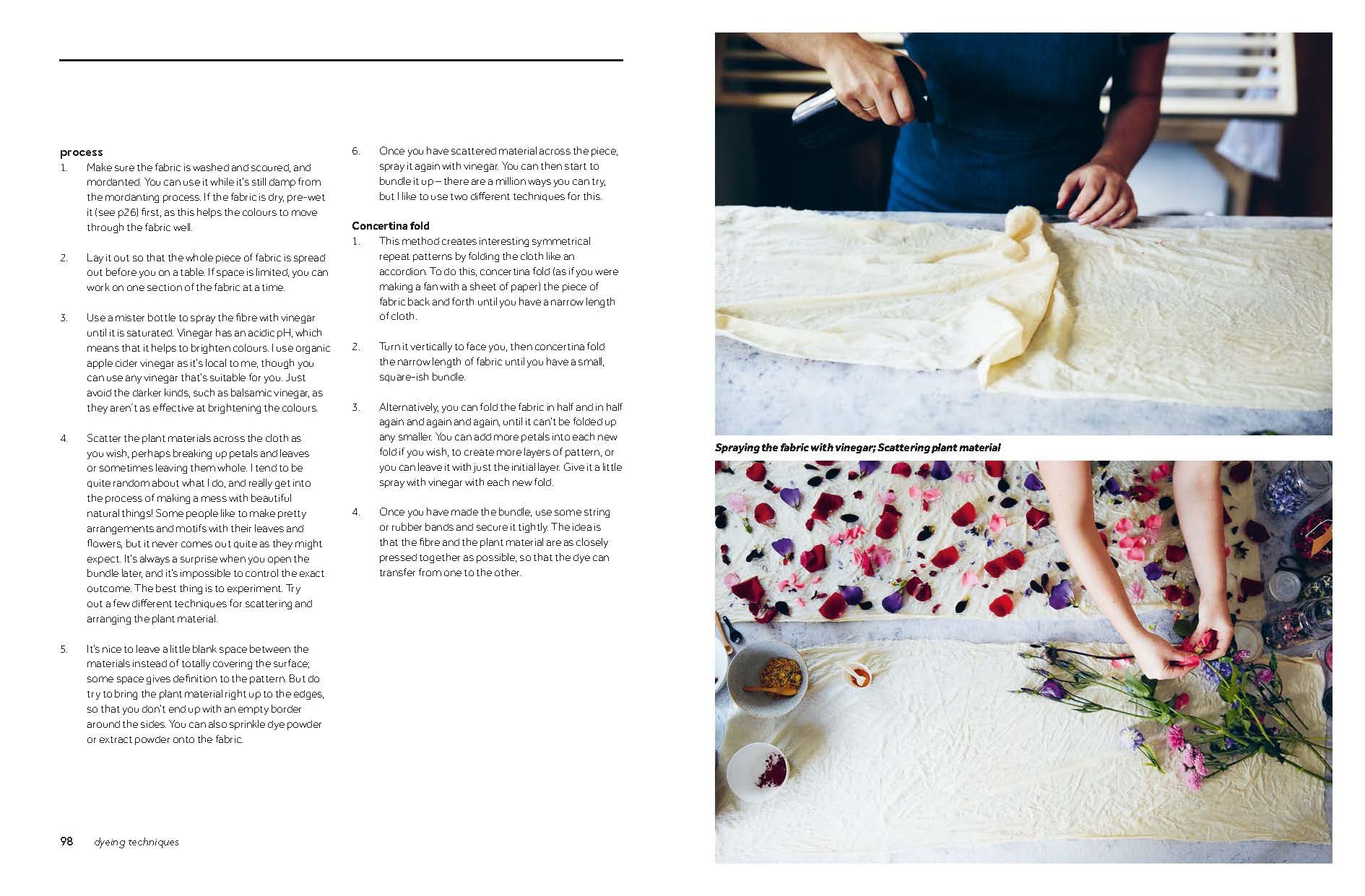 Botanical Dyes | Babs Behan - 9 | YEO