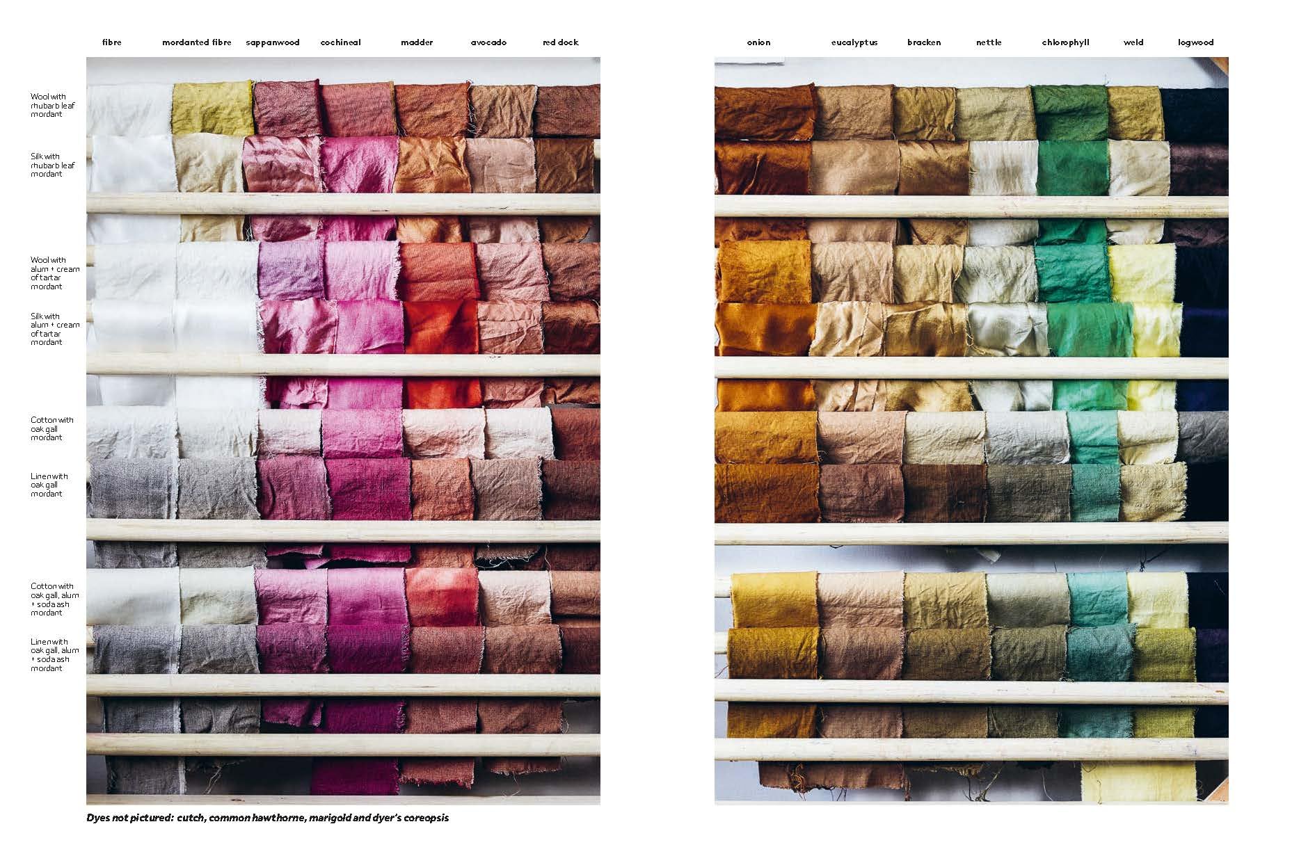 Botanical Dyes | Babs Behan - 5 | YEO