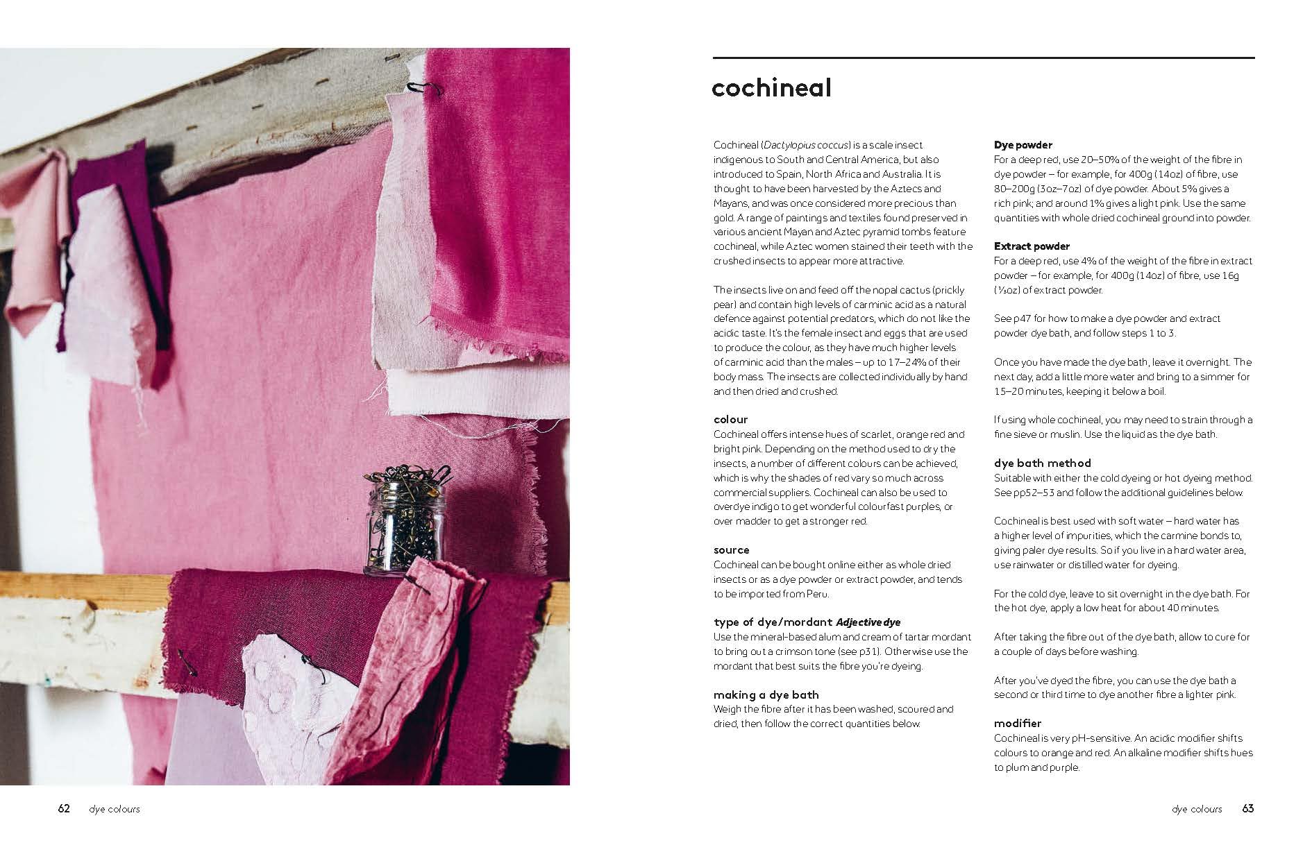 Botanical Dyes | Babs Behan - 6 | YEO