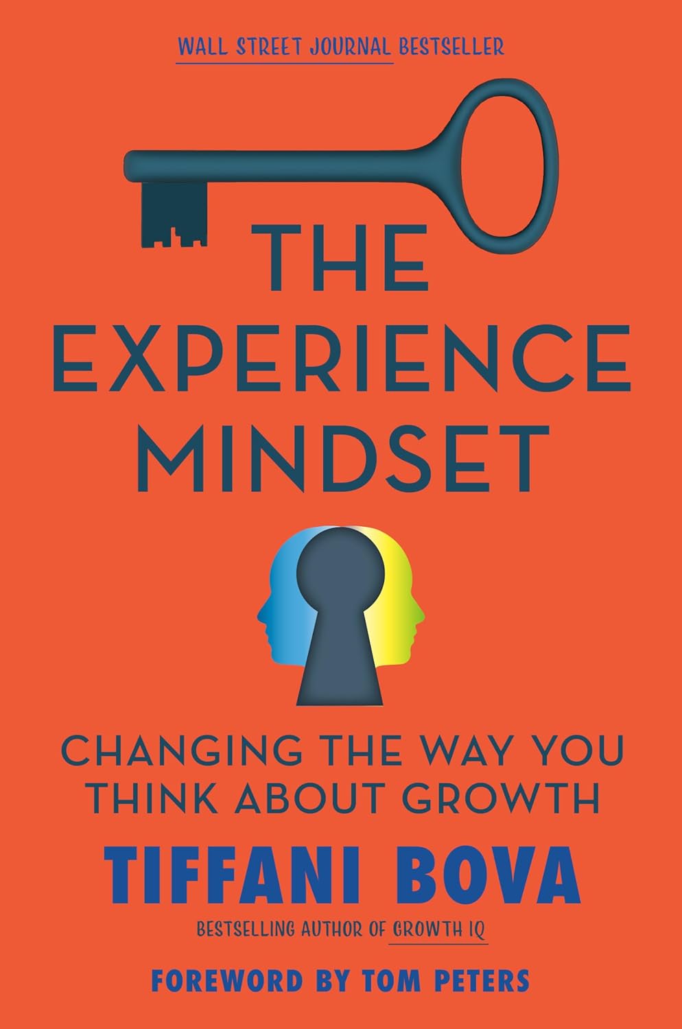 The Experience Mindset | Tiffani Bova