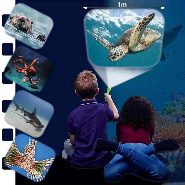 Jucarie educativa - Natural History Museum Sea Creatures Torch and Projector | Brainstorm - 1 | YEO