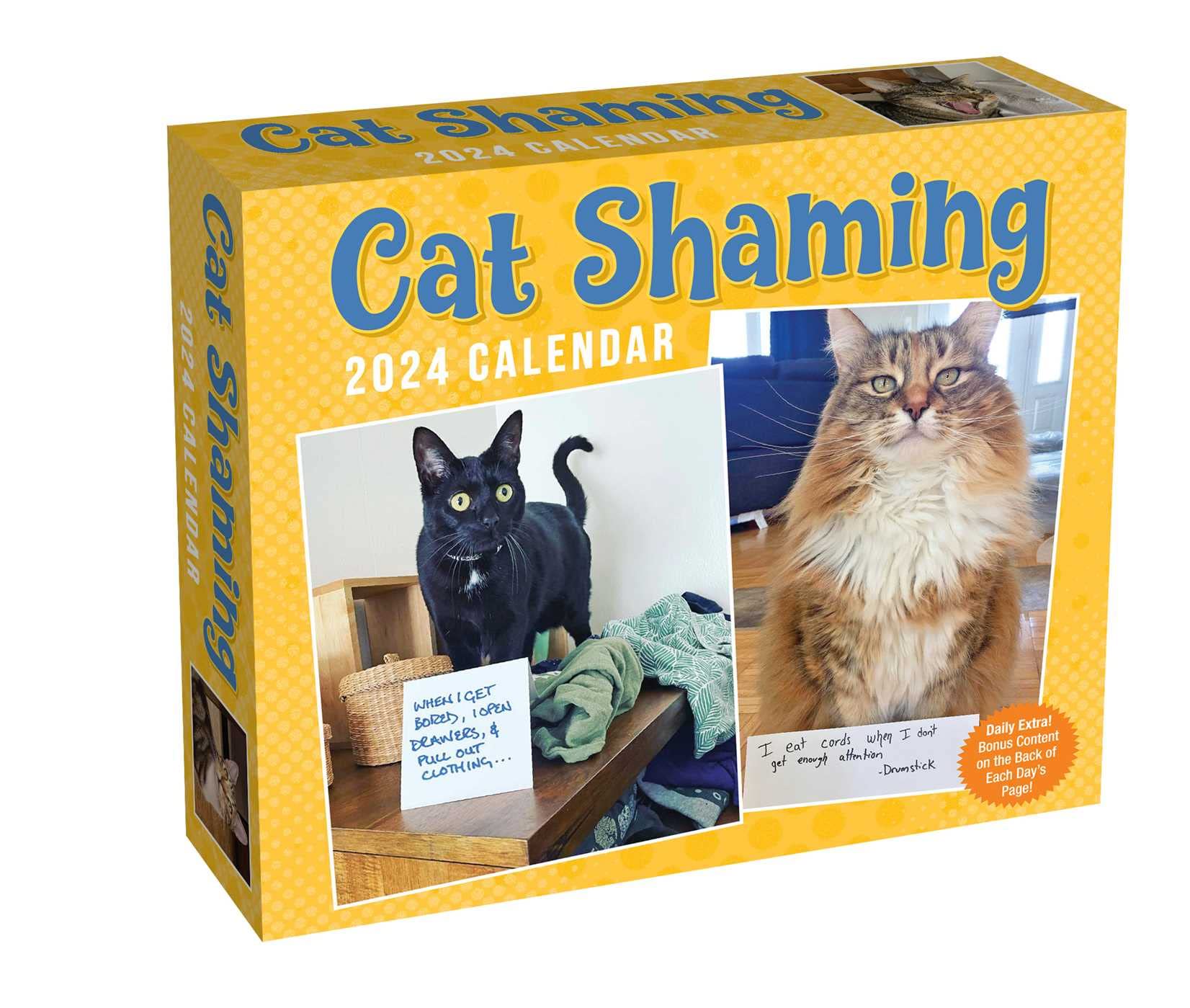 Calendar 2024 - Cat Shaming | Andrews McMeel Publishing