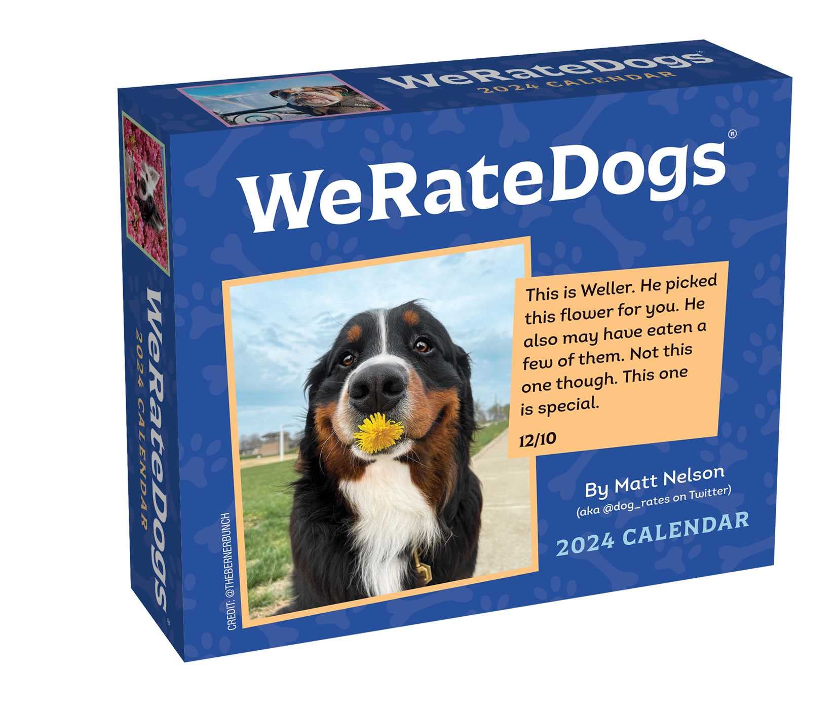 Calendar 2024 - Weratedogs | Andrews McMeel Publishing