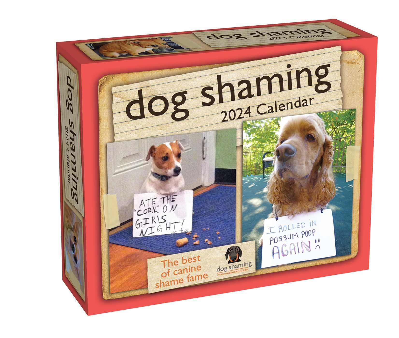 Calendar 2024 - Dog Shaming | Andrews McMeel Publishing