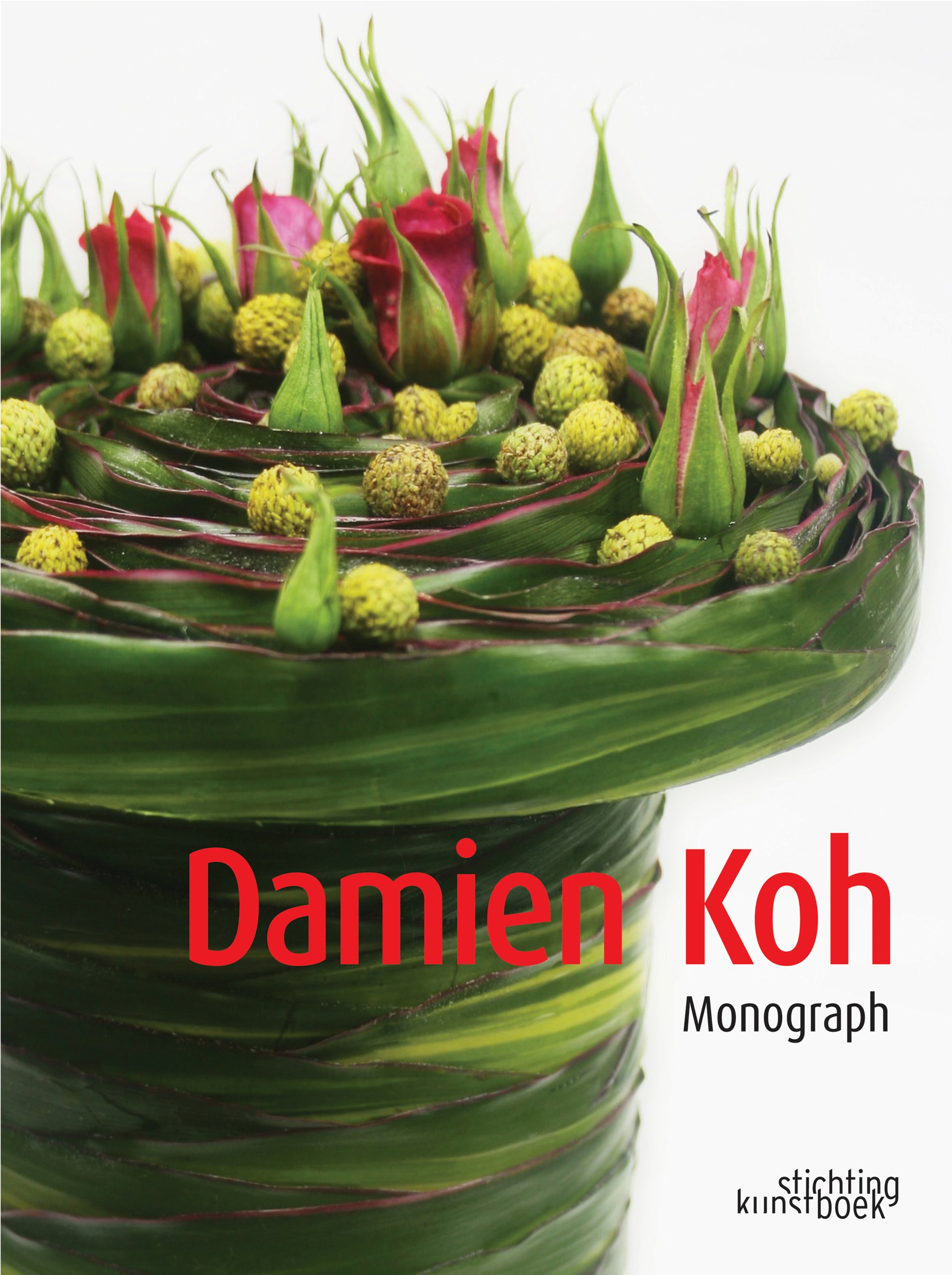 Vezi detalii pentru Damien Koh - Monograph | Damien Koh