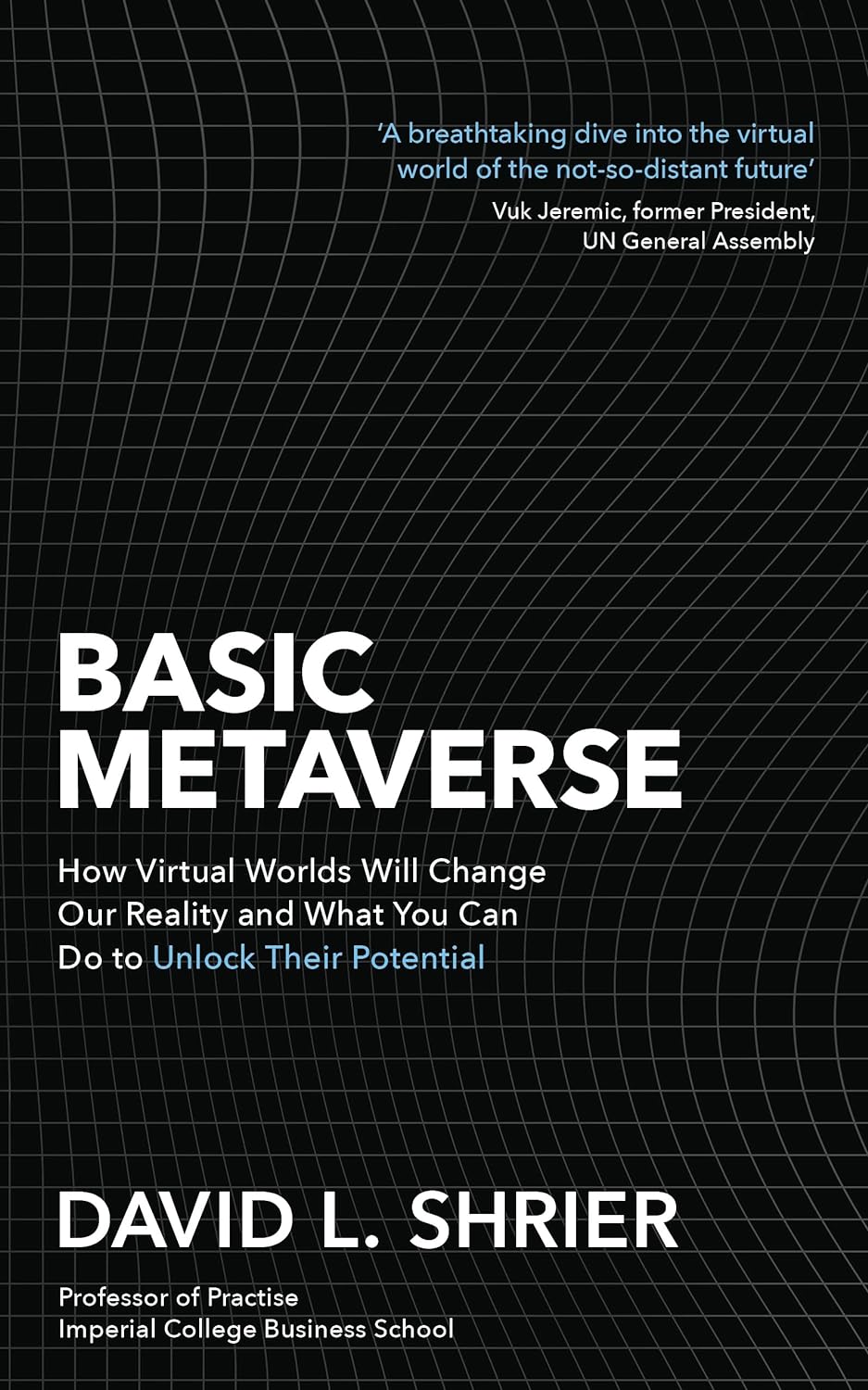 Basic Metaverse | David Shrier