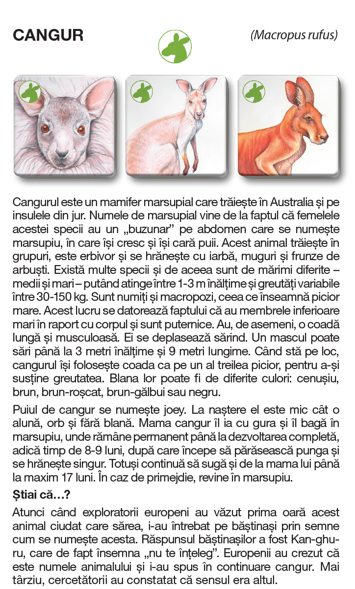 Joc - Memotrio - Familii de animale | Star-E - 10