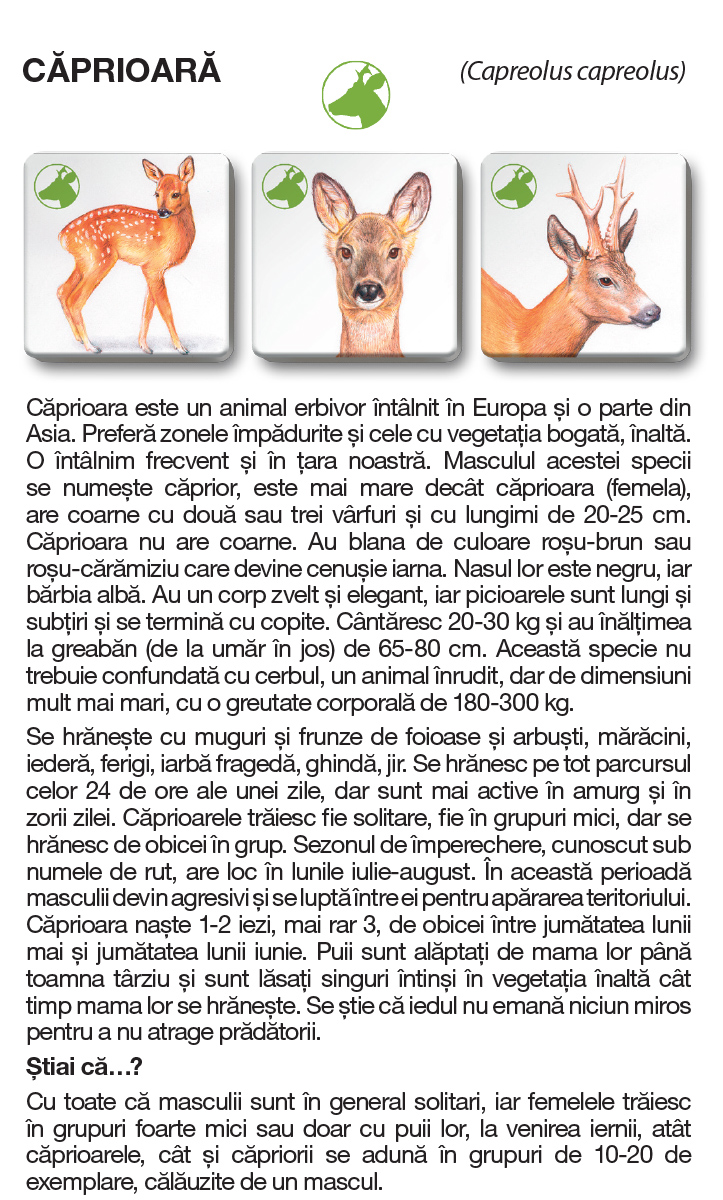 Joc - Memotrio - Familii de animale | Star-E - 12