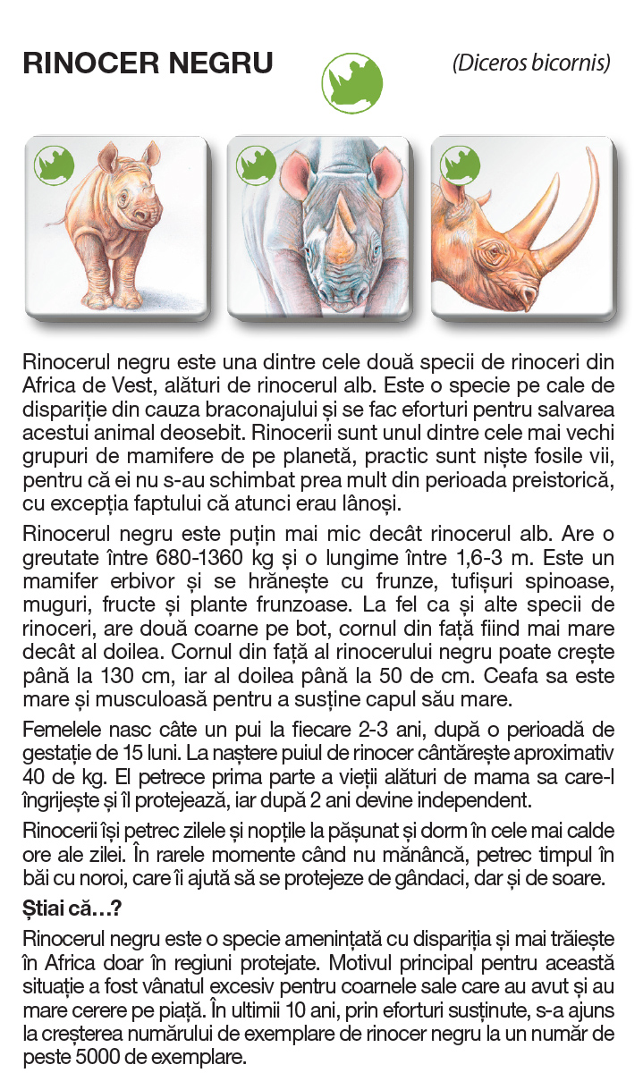 Joc - Memotrio - Familii de animale | Star-E - 17