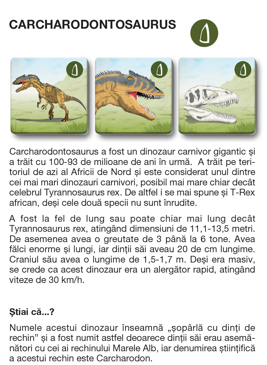 Joc - Memotrio - Dinozauri | Star-E - 16