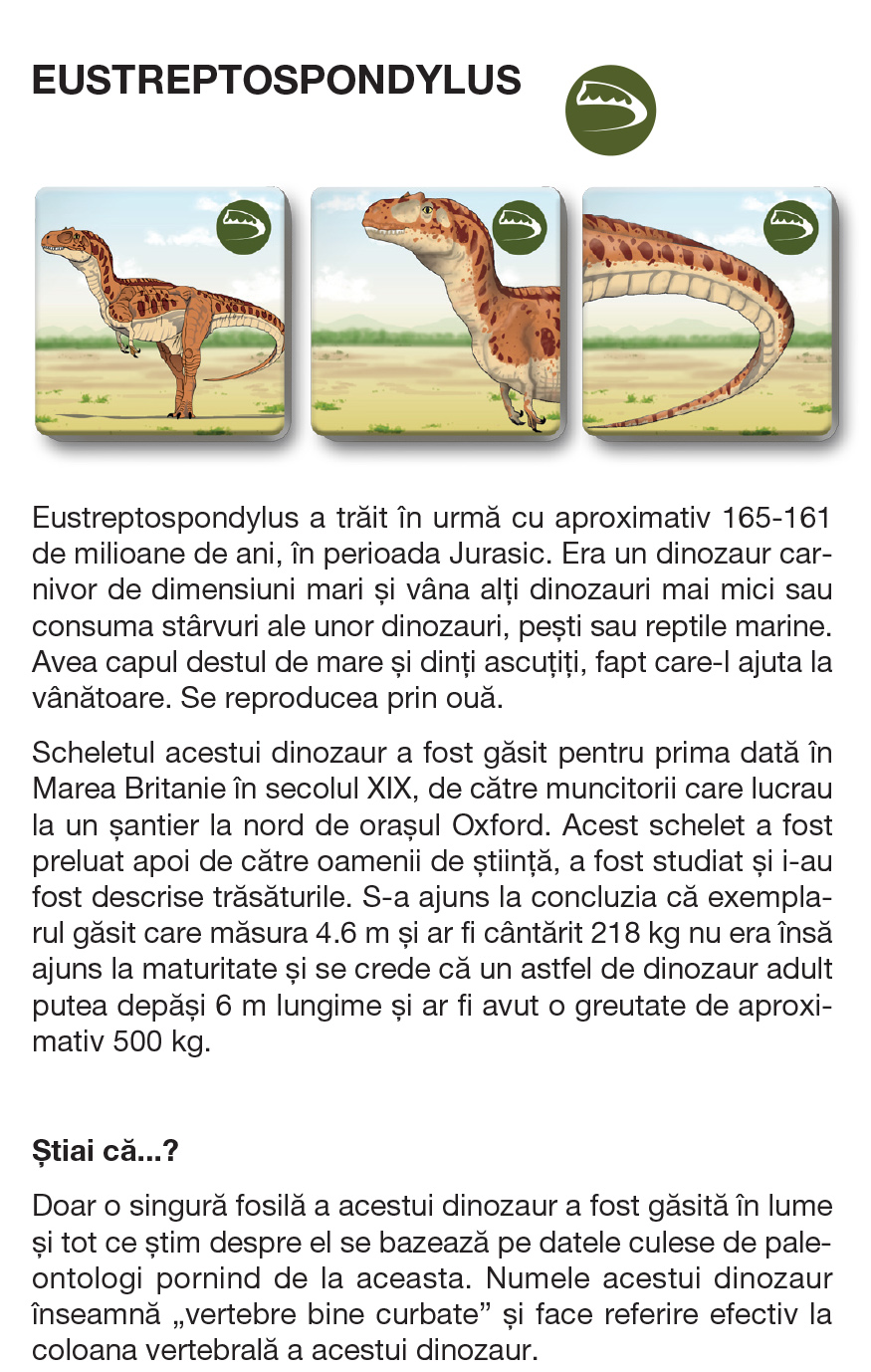 Joc - Memotrio - Dinozauri | Star-E - 7