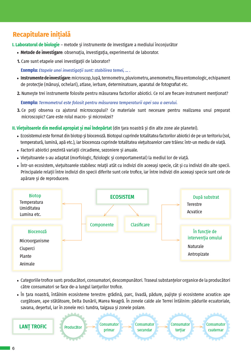 Biologie. Manual clasa a VI-a | Claudia Ciceu, Niculina Badiu - 3 | YEO