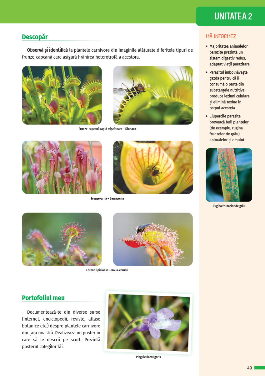 Biologie. Manual clasa a VI-a | Claudia Ciceu, Niculina Badiu - 7 | YEO