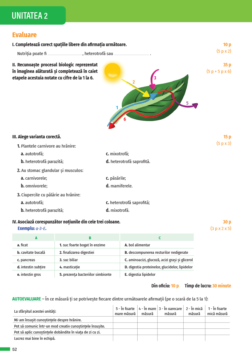 Biologie. Manual clasa a VI-a | Claudia Ciceu, Niculina Badiu - 8 | YEO