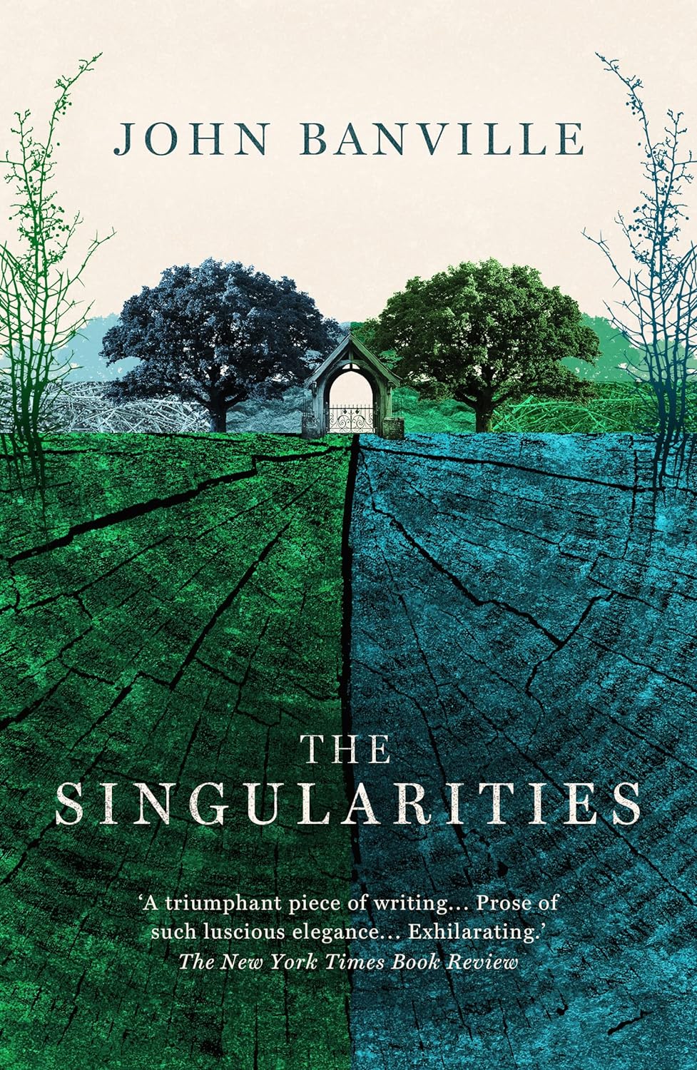 The Singularities | John Banville