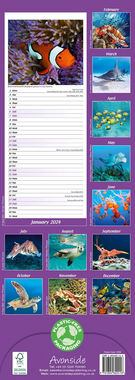 Calendar 2024 - Ocean Life Slimline | Avonside Publishing Ltd - 2 | YEO