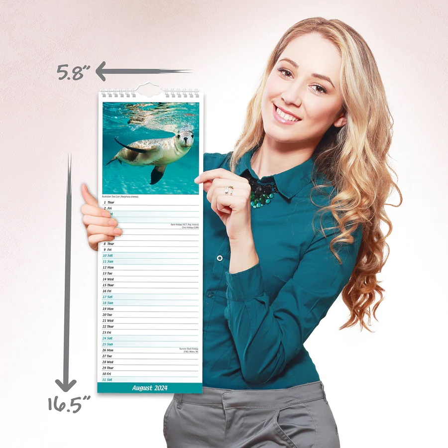 Calendar 2024 - Ocean Life Slimline | Avonside Publishing Ltd - 3 | YEO