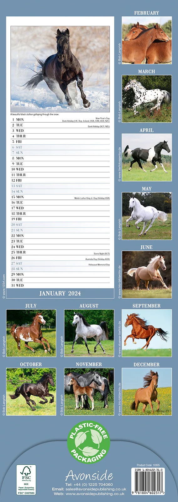 Calendar 2024 - Horses Slimline | Avonside Publishing Ltd