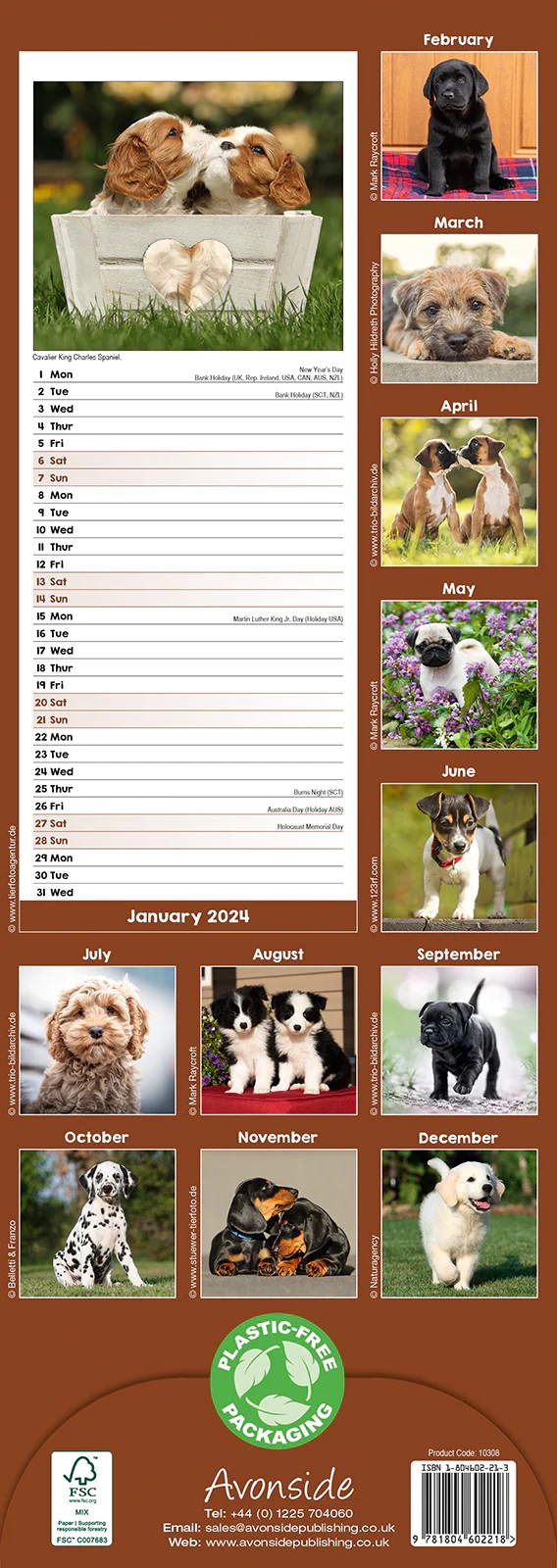 Calendar 2024 - Puppies Slimline | Avonside Publishing Ltd