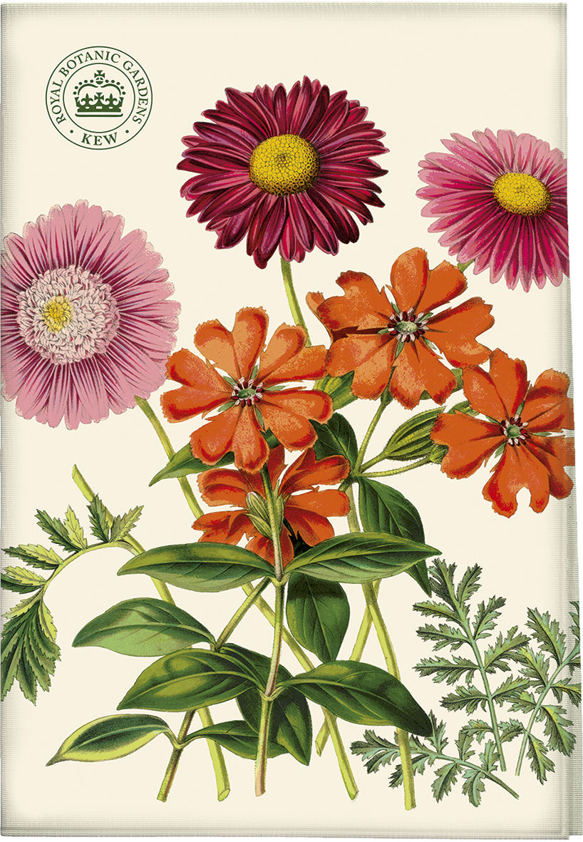 Prosop - Kew Garden Delights Painted Daisy Tea Towel | Creative Tops