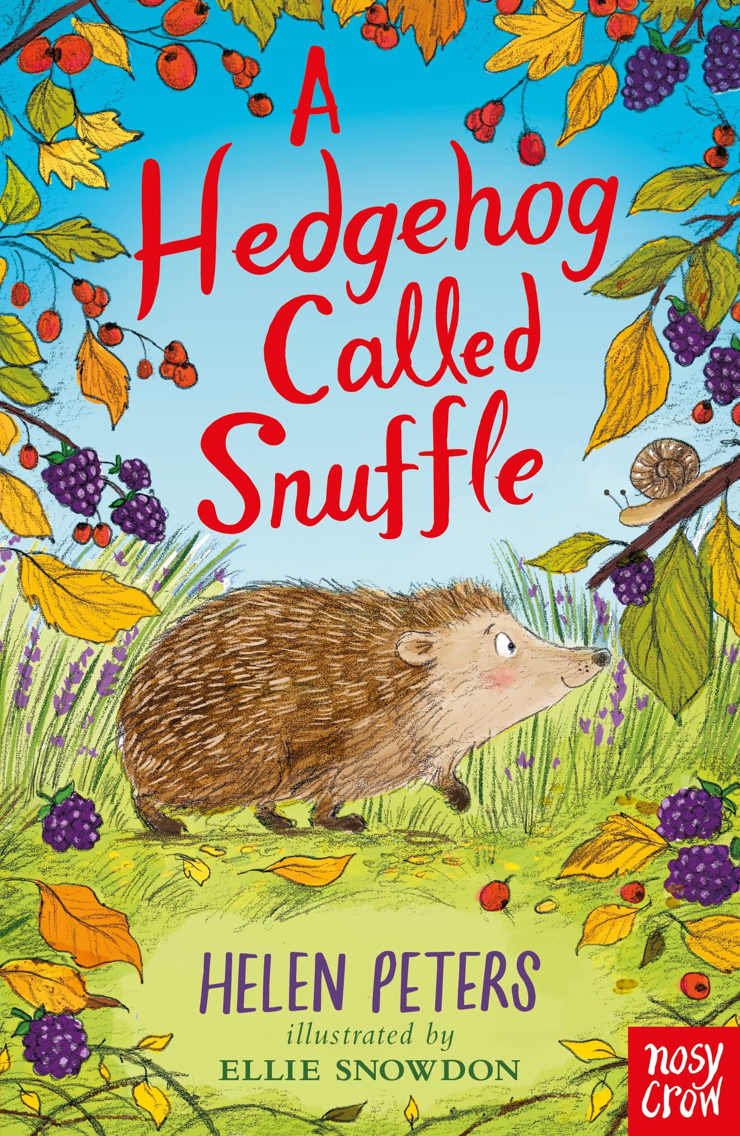 A Hedgehog Called Snuffle | Helen Peters