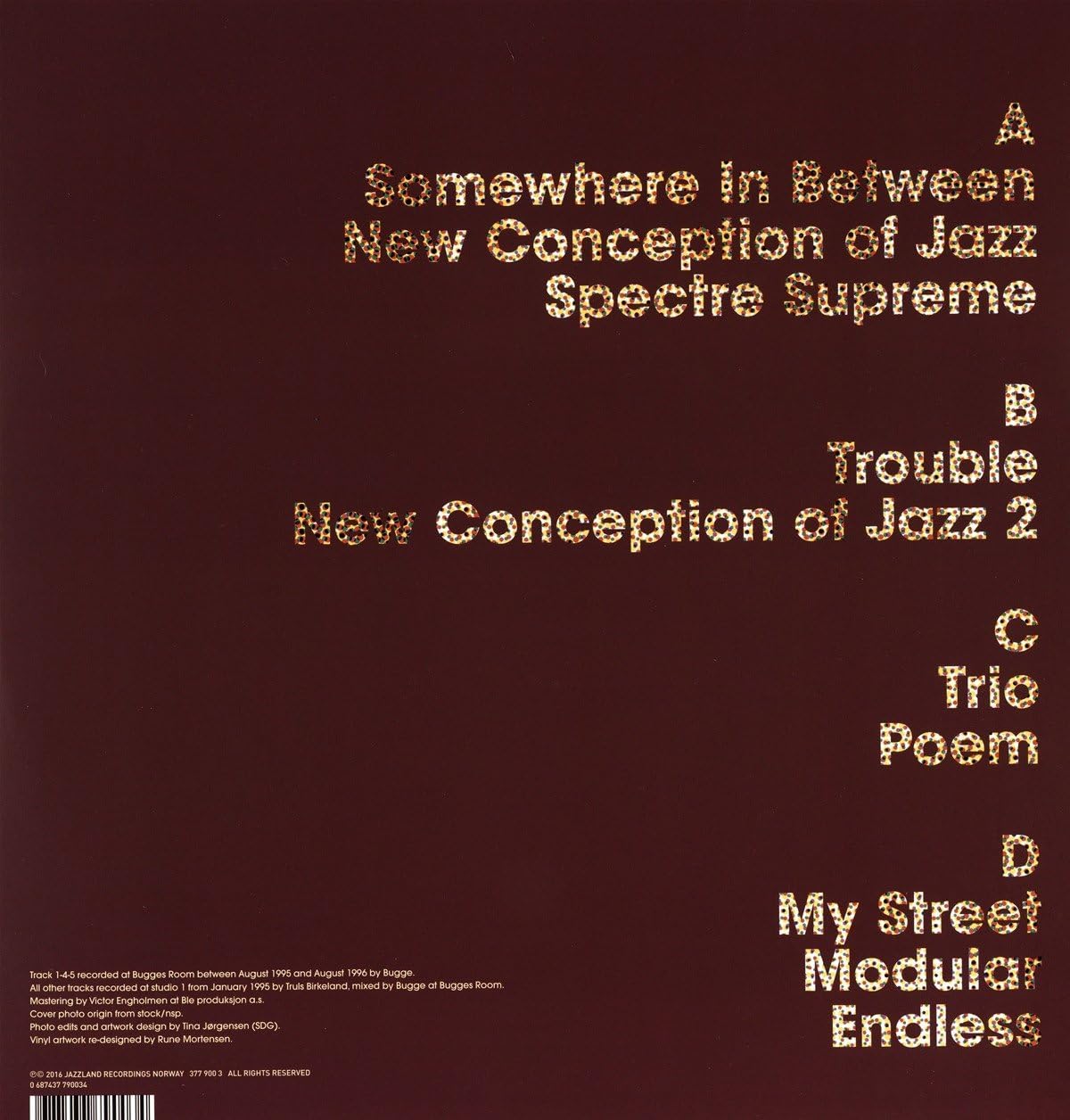 New Conception Of Jazz - Vinyl | Bugge Wesseltoft
