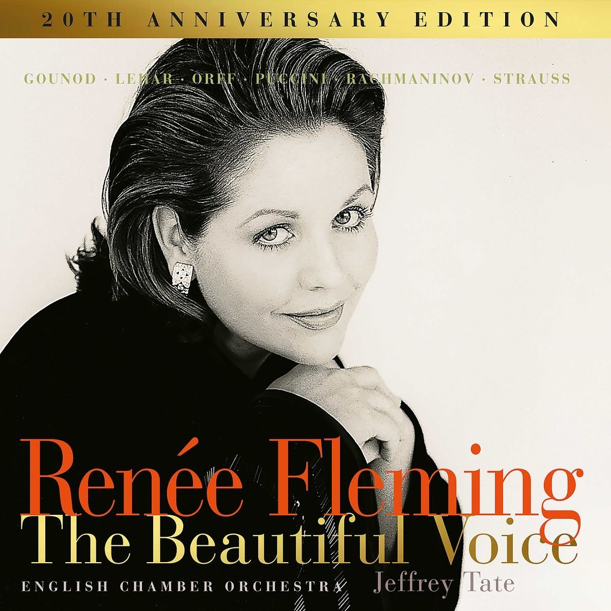 The Beautiful Voice - Vinyl | Renee Fleming