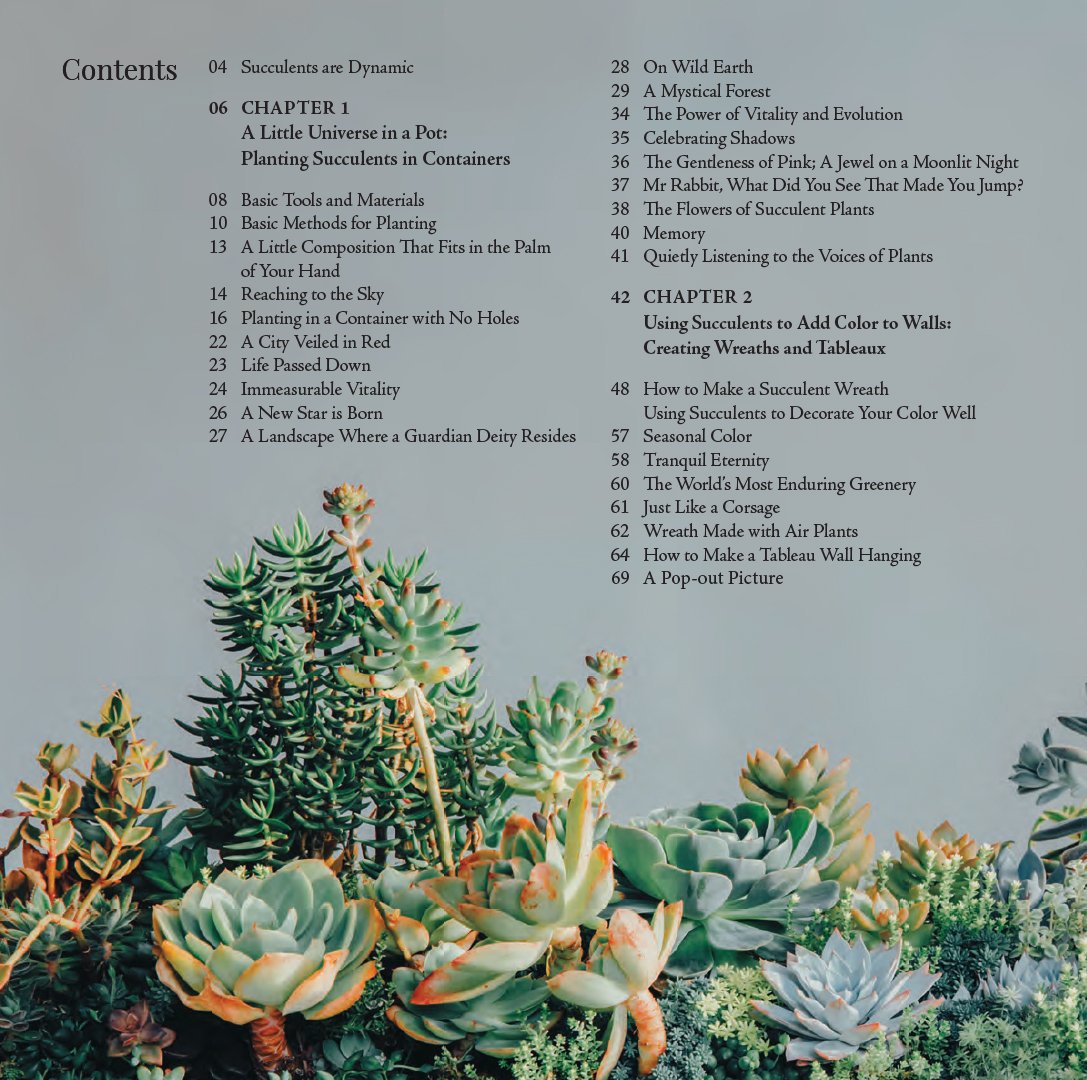 Stylish Succulents | Yoshinobu Kondo, Tomomi Kondo
