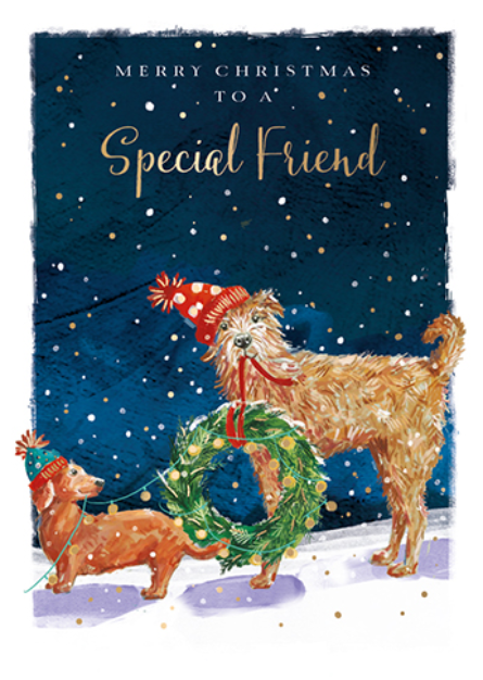 Felicitare - Wild Life - Special Friend - Festive Friends