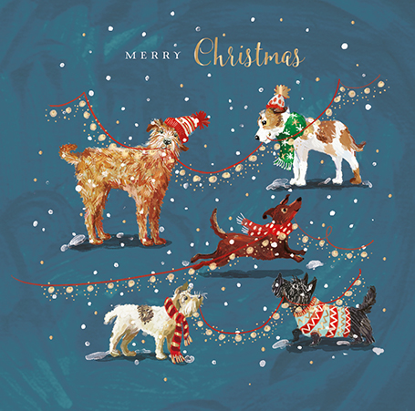 Felicitare - Wild Life - Paw-fect Christmas