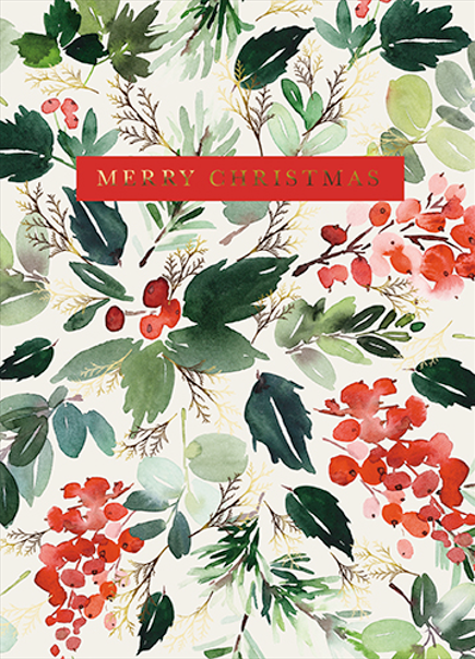 Set 8 felicitari - Luxury Red Berry Branches, doua modele | Great British Card Company