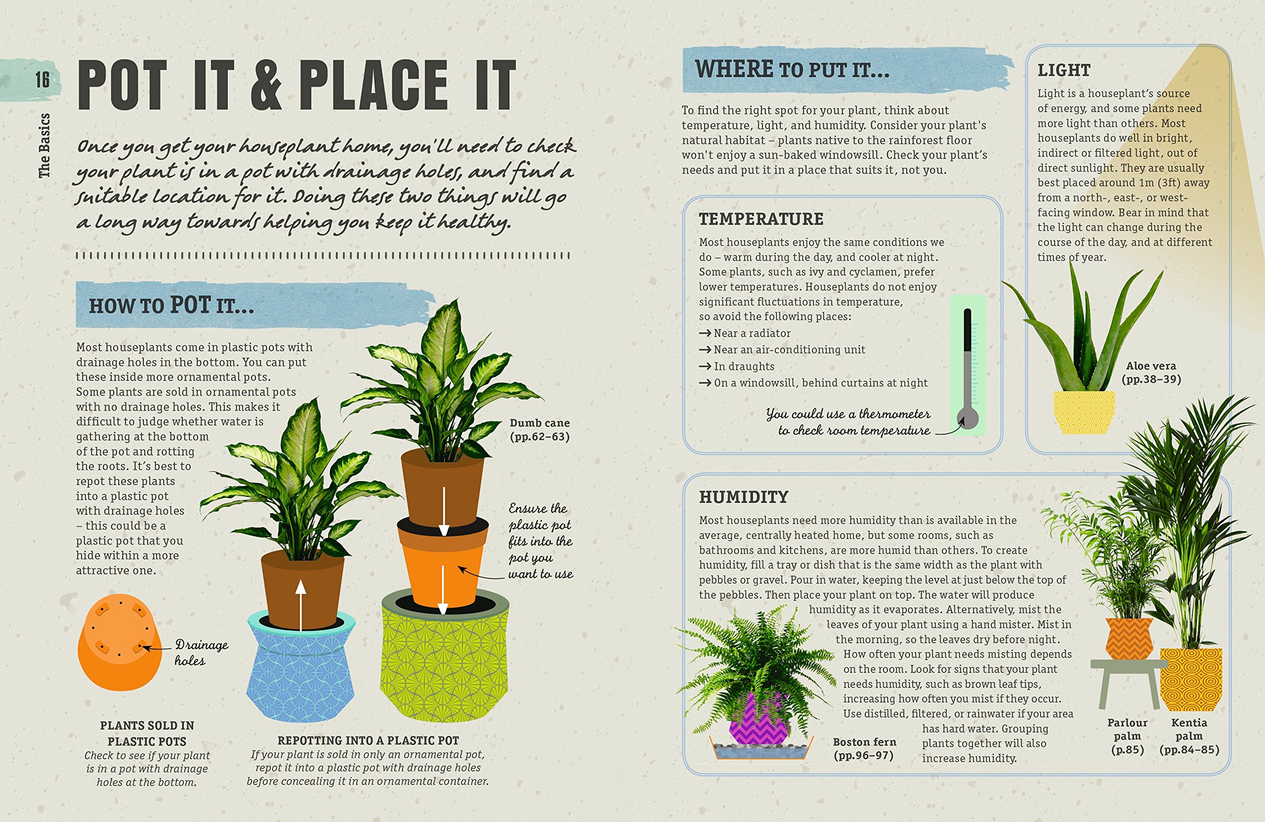 How Not to Kill Your House Plant | Veronica Peerless