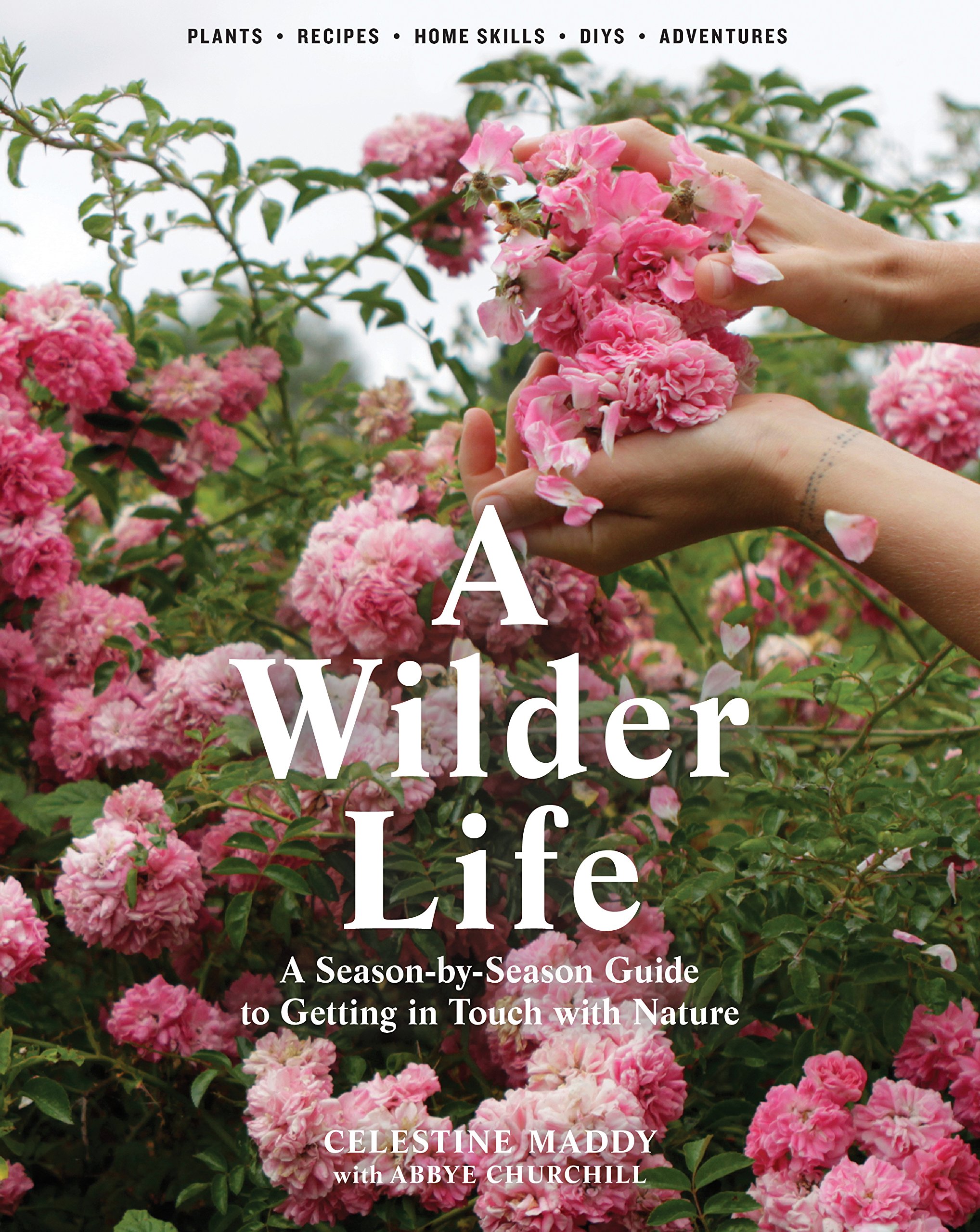 Wilder Life | Celestine Maddy