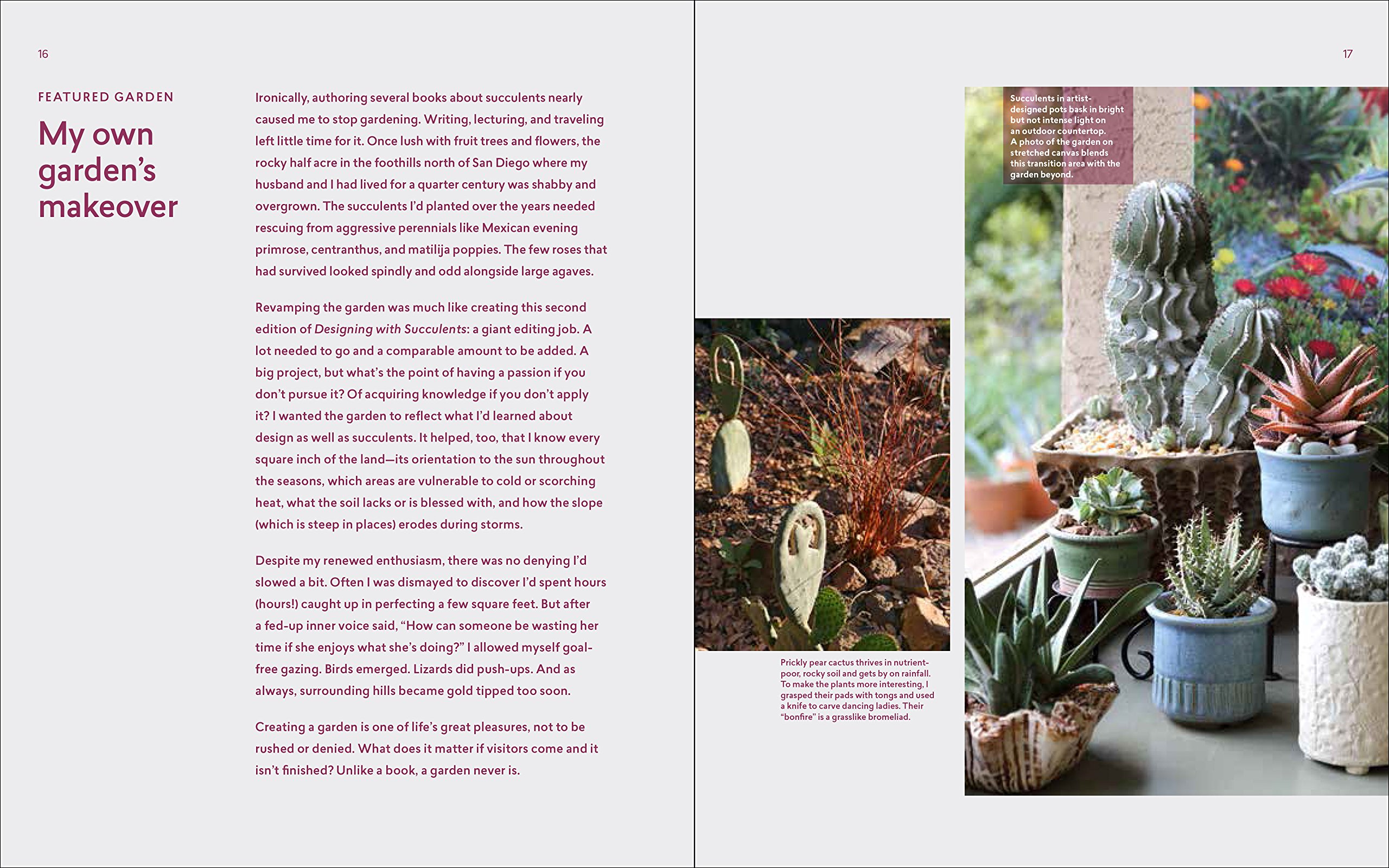 Designing with Succulents | Debra Lee Baldwin