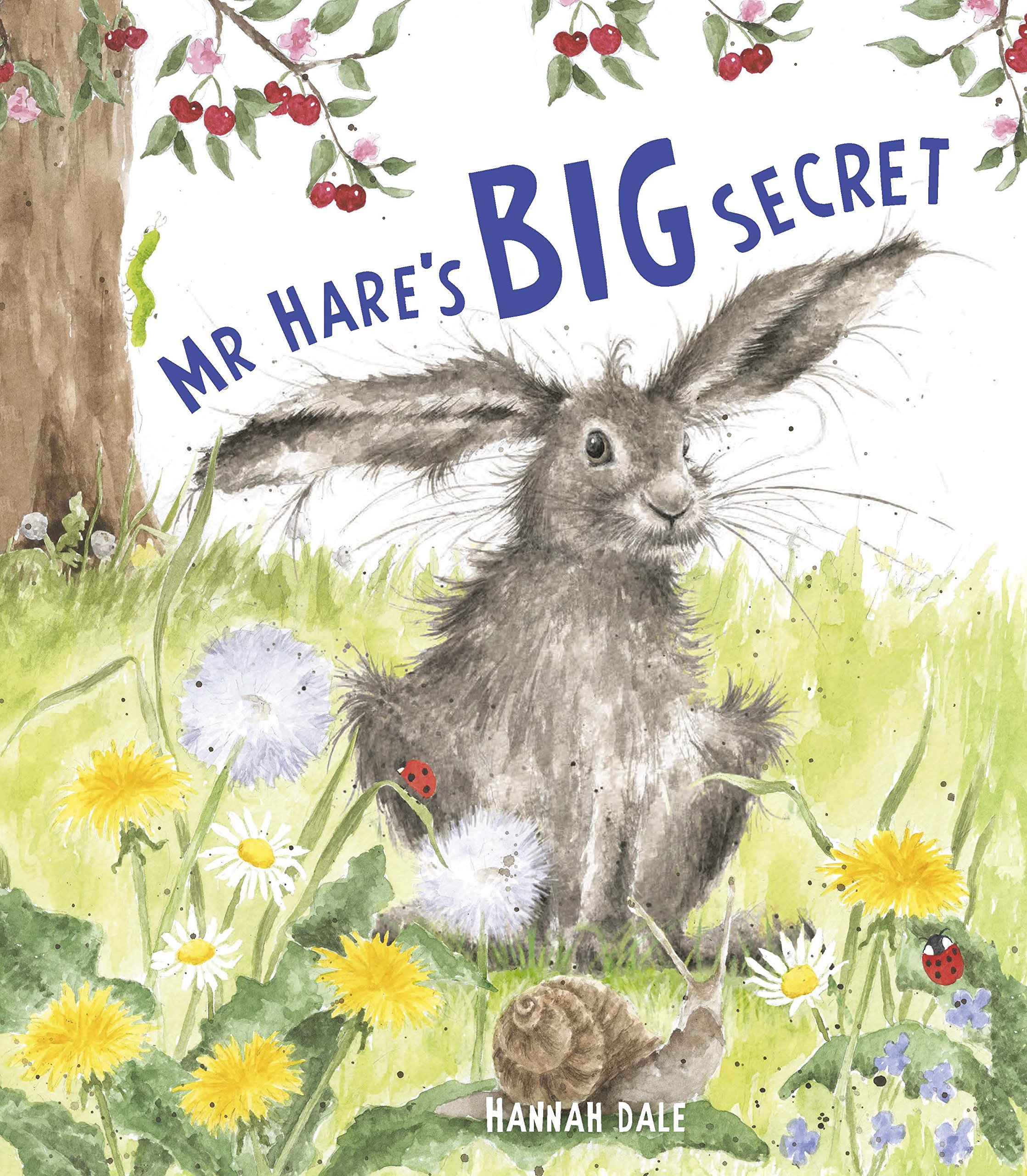 Mr Hare\'s Big Secret | Hannah Dale