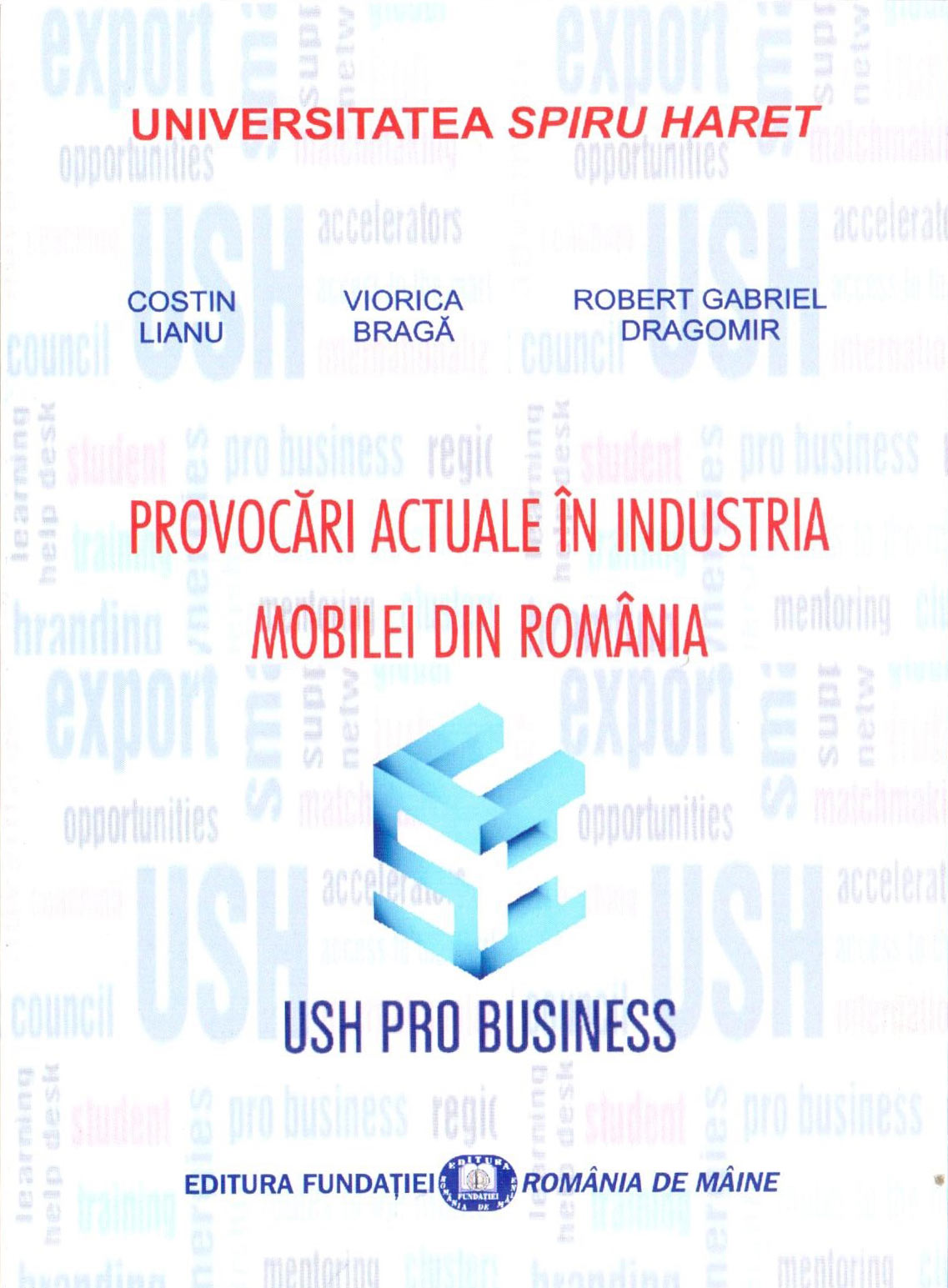 Provocari actuale in industria mobilei din Romania | Costin Lianu, Viorica Braga, Robert Dragomir