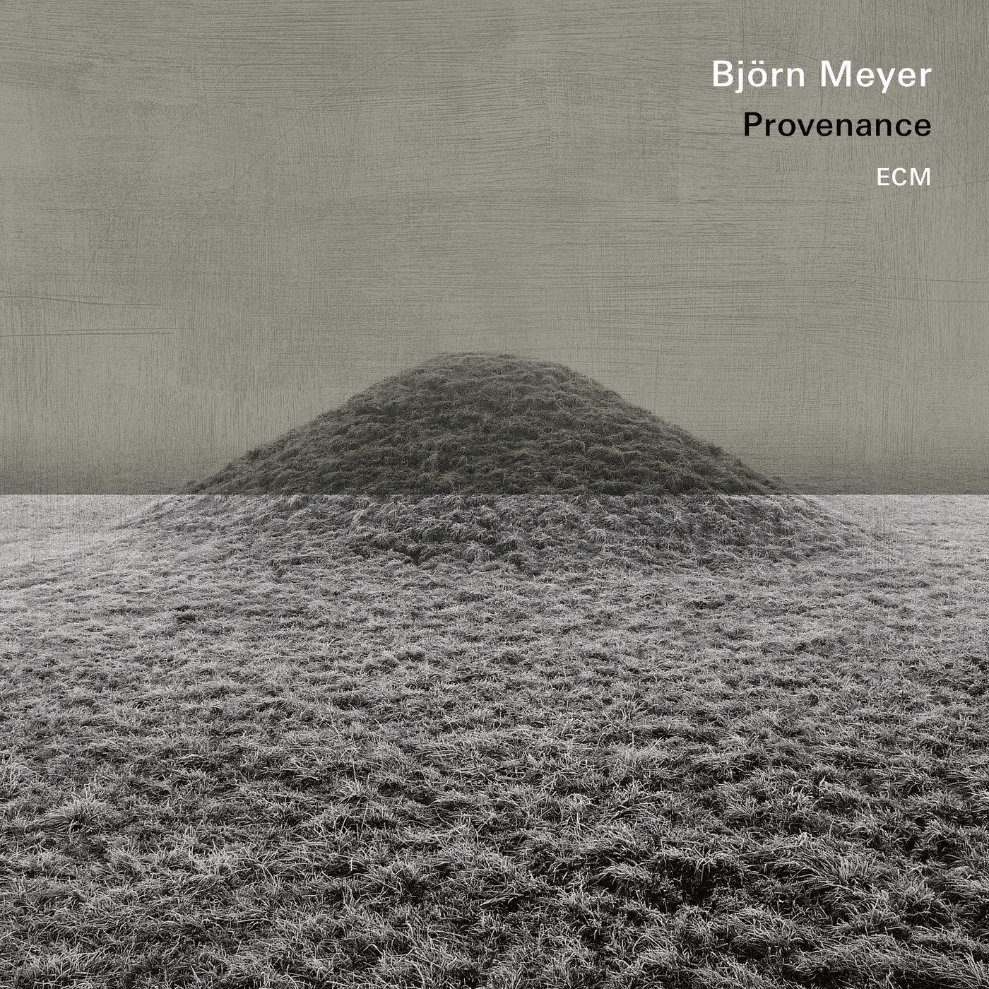 Provenance | Bjorn Meyer